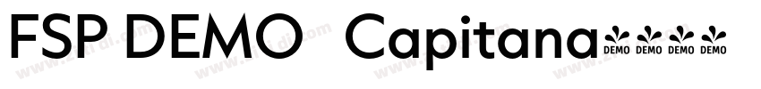 FSP DEMO   Capitana字体转换